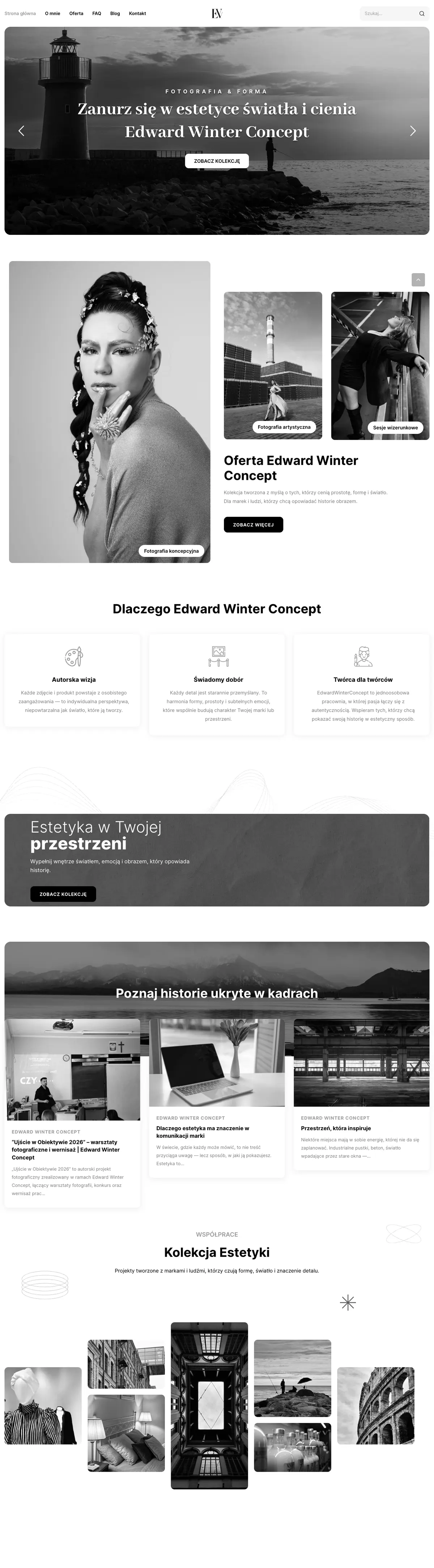 Strona Edward Winter Concept — widok na komputerze